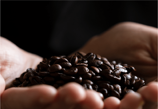 Sustainably Sourced Coffee